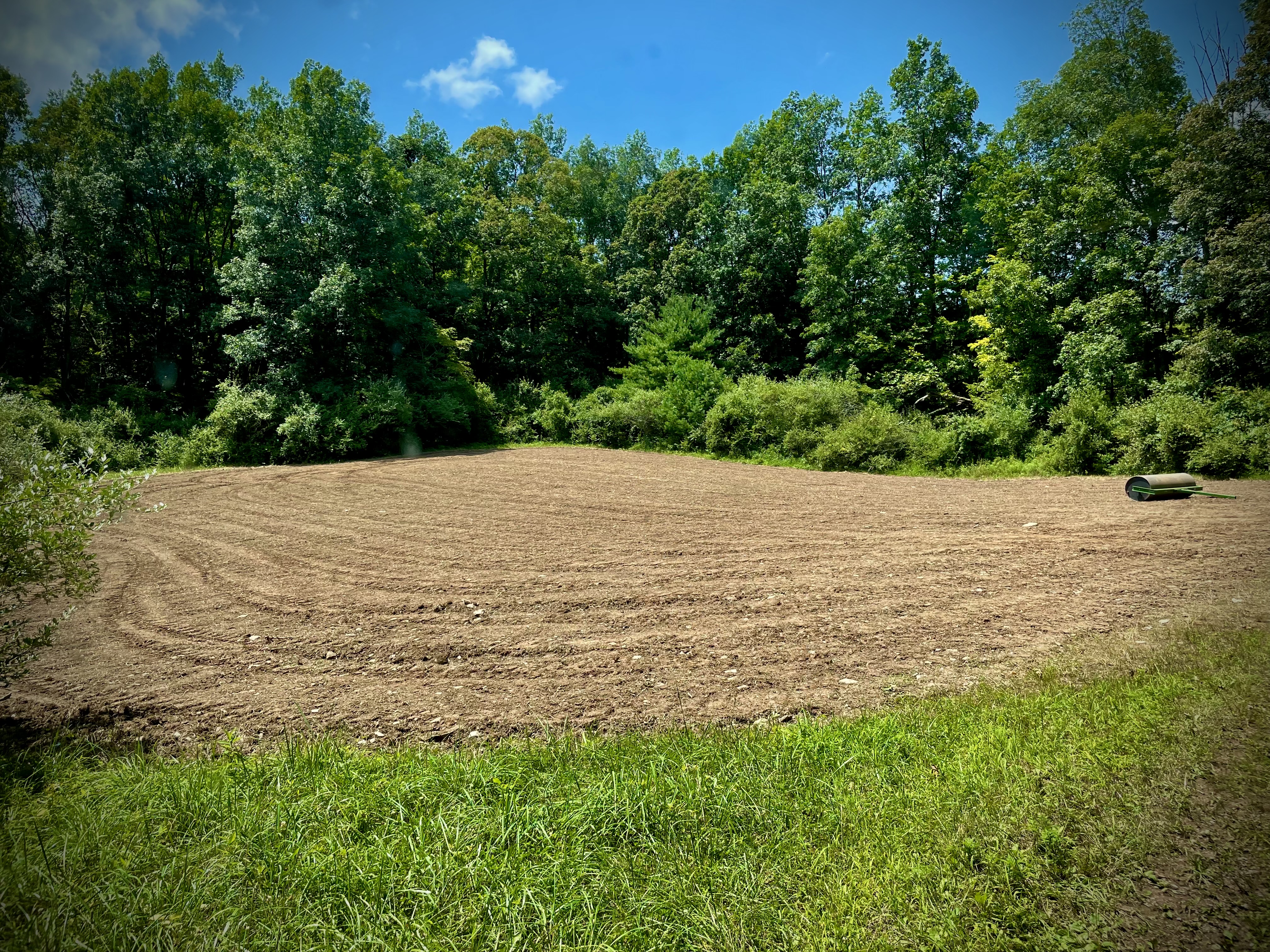 Food Plots